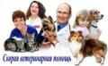 Московская ветеринарная служба «Айболит Вет»