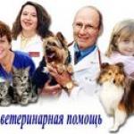 Московская ветеринарная служба «Айболит Вет»
