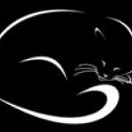 Зоогостиница «Чёрная кошка»