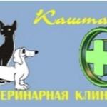 Ветеринарная клиника «Каштанка»