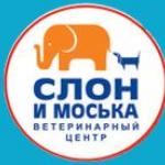 Ветеринарный центр «Слон и Моська»